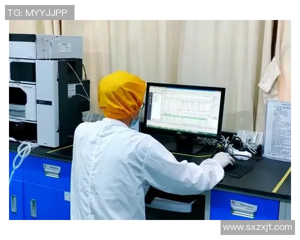 成都篮球队转型之路的纪实记录与未来展望