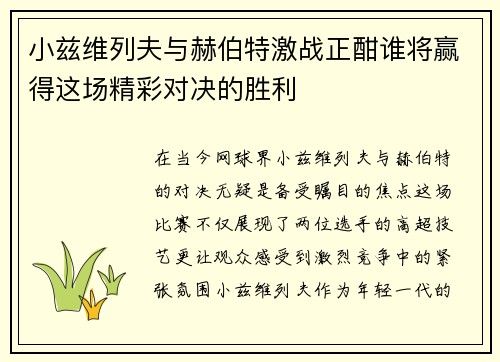 小兹维列夫与赫伯特激战正酣谁将赢得这场精彩对决的胜利